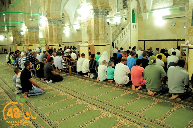 trawe7 ramla kaber (10).JPG